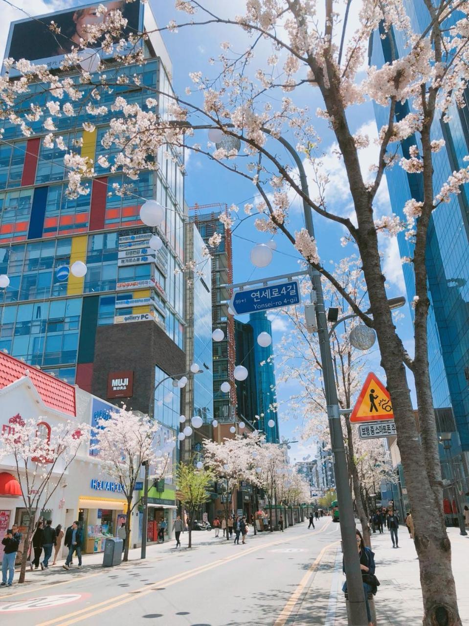 Sinchon Cooing Guesthouse
